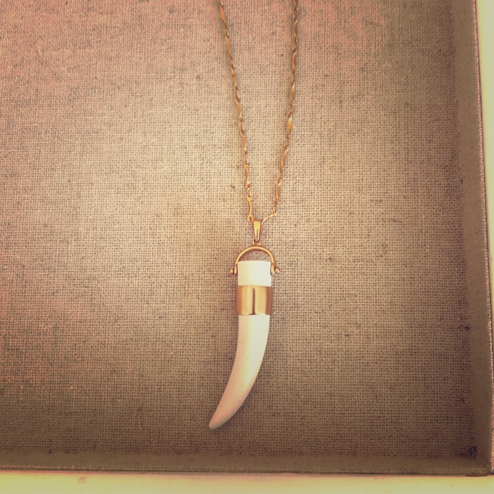 Stella & Dot Tusk Necklace